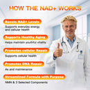 NAD+ Supplement Gummies